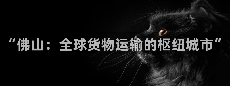 尊龙官网手机版下载