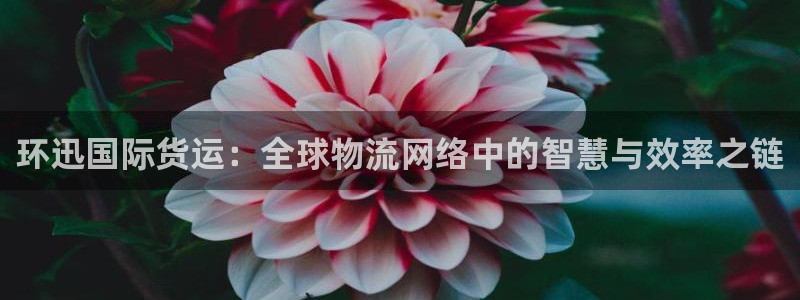 尊龙ag旗舰厅官网官方入口