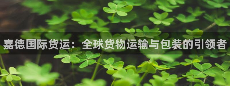 尊龙凯时美金能提取吗