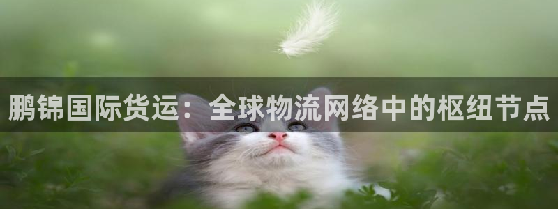 尊龙实业