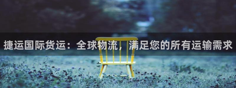 尊龙人生就是-首页：捷运国际货运：全球物流，满足您的所有