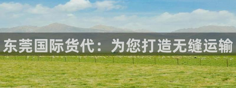 尊龙t400和尊龙t300区别