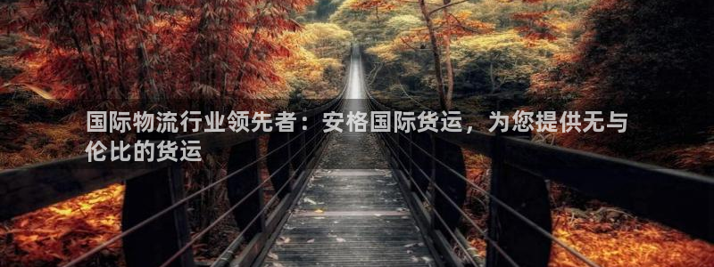 尊龙凯时人生就是搏官：国际物流行业领先者：安格国际货运，