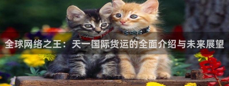 尊龙人生就是博送38