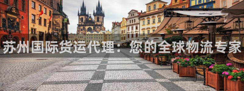 尊龙官网网页版：苏州国际货运代理：您的全球物流专家