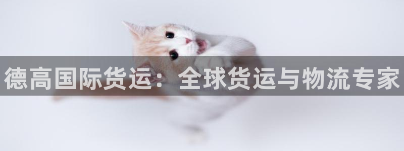 尊龙t600：德高国际货运：全球货运与物流专家