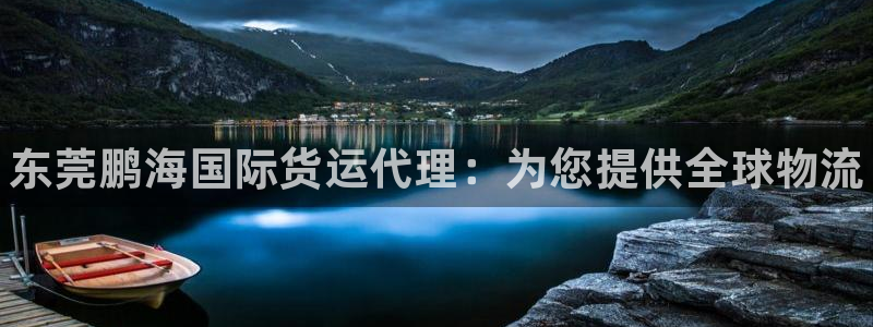 尊龙凯时z6官网：东莞鹏海国际货运代理：为您提供全球物流