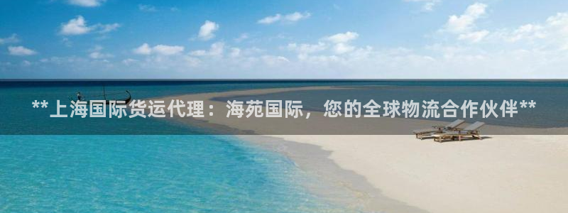尊龙凯时赢不了：**上海国际货运代理：海苑国际，您的全球