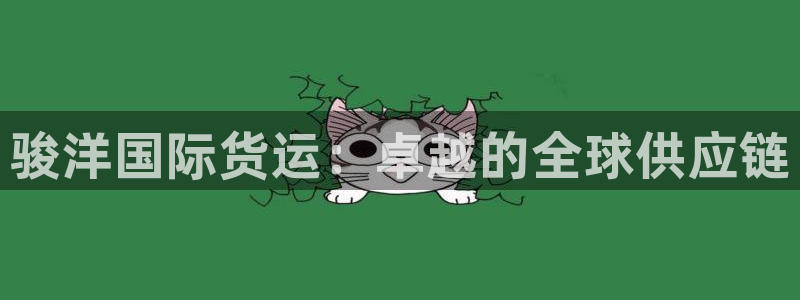 尊龙这个平台怎么样：骏洋国际货运：卓越的全球供应链