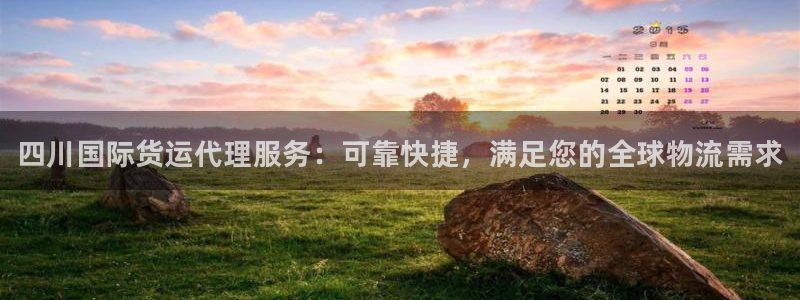 尊龙官网手机版：四川国际货运代理服务：可靠快捷，满足您的