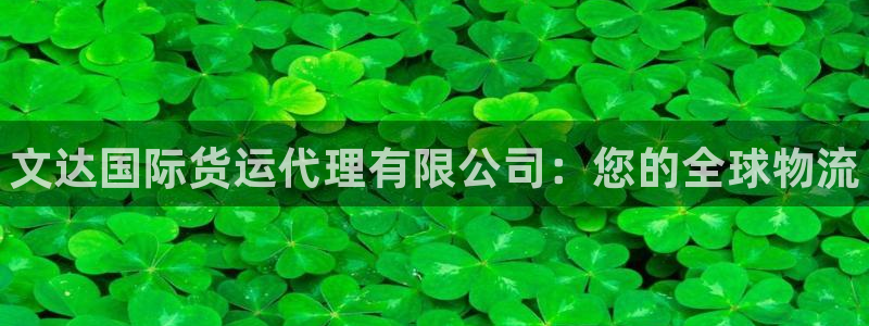 尊龙网址是选访问zd207：文达国际货运代理有限公司：您