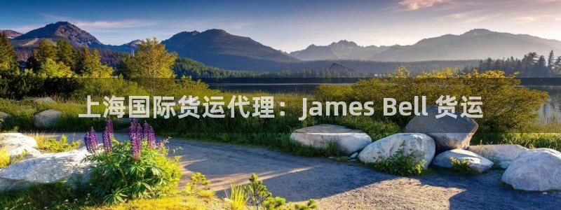 尊龙凯时能提现吗：上海国际货运代理：James Bell