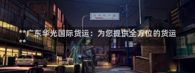 尊龙凯时产品系列：**广东华光国际货运：为您提供全方位的