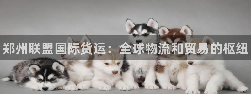 尊龙人生就是博登录网址下载