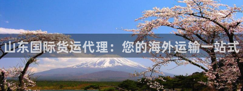 尊龙官网地址：山东国际货运代理：您的海外运输一站式