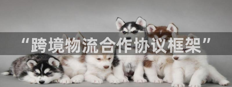 尊龙网站人生就是博