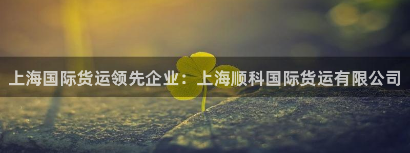 尊龙t600：上海国际货运领先企业：上海顺科国际货运有限