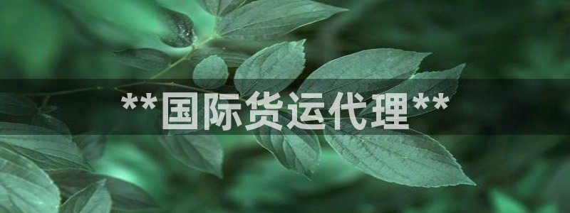 尊龙凯时城游戏官网：**国际货运代理**
