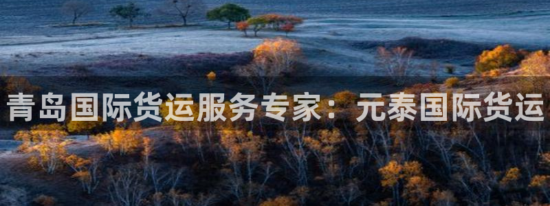 尊龙凯时提现不了：青岛国际货运服务专家：元泰国际货运
