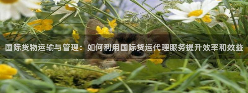 尊龙凯时 人生就是搏