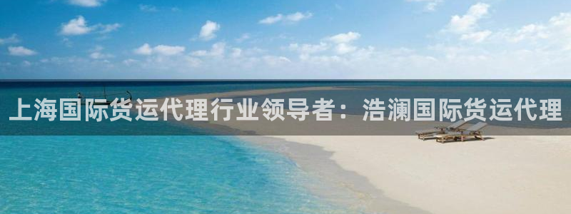 尊龙d88ag官方网站：上海国际货运代理行业领导者：浩澜