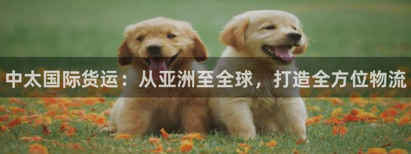 尊龙凯时人生就是搏客户