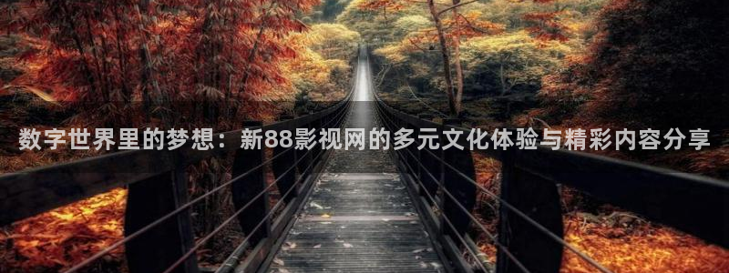 星空天美麻花视频