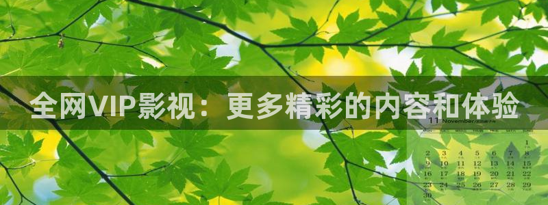 麻花视频怎么免费观看
