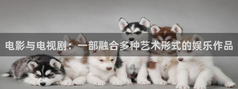 麻花视频app
