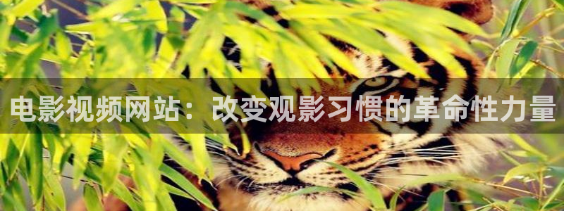 麻花视频在线播放