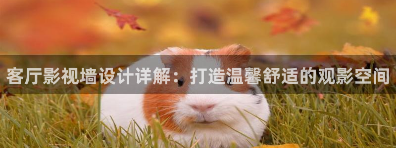 制作麻花视频