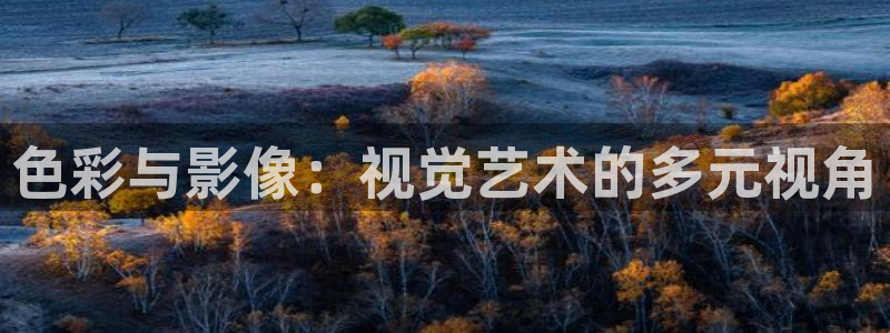 麻花视频免费看